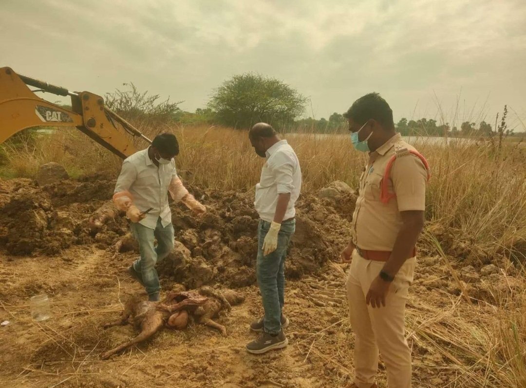 దీప్తిశ్రీనగర్‌లో కుక్కల మృత్యుఘోష!.. నోటి వద్ద నురుగు, పక్కనే చికెన్ ముక్క—విషం పెట్టిందెవరు?