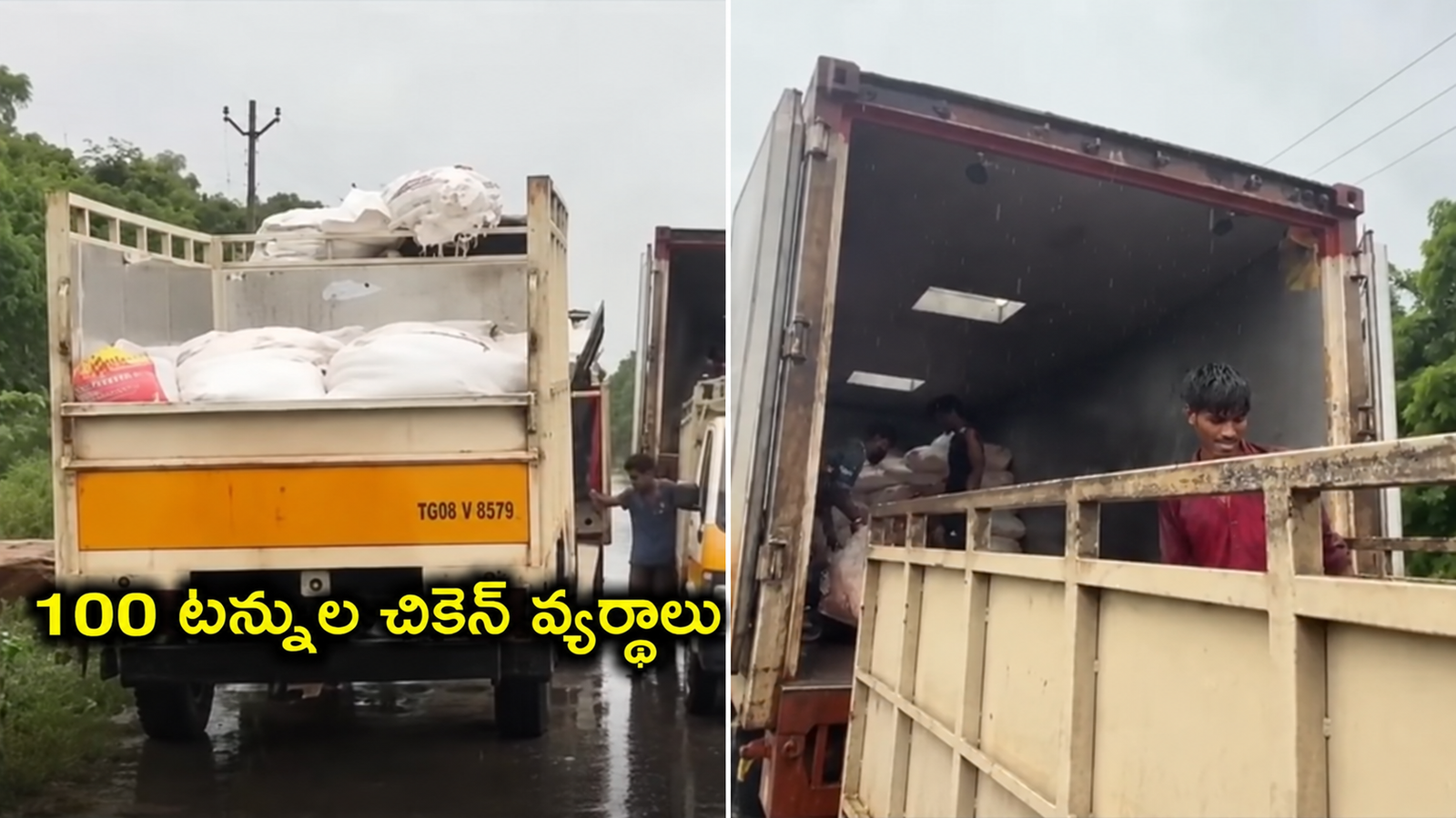 చేపల మేతగా 100 టన్నుల చికెన్ వ్యర్థాలు!.. గుట్టుగా సాగుతున్న విష దందా బట్టబయలు