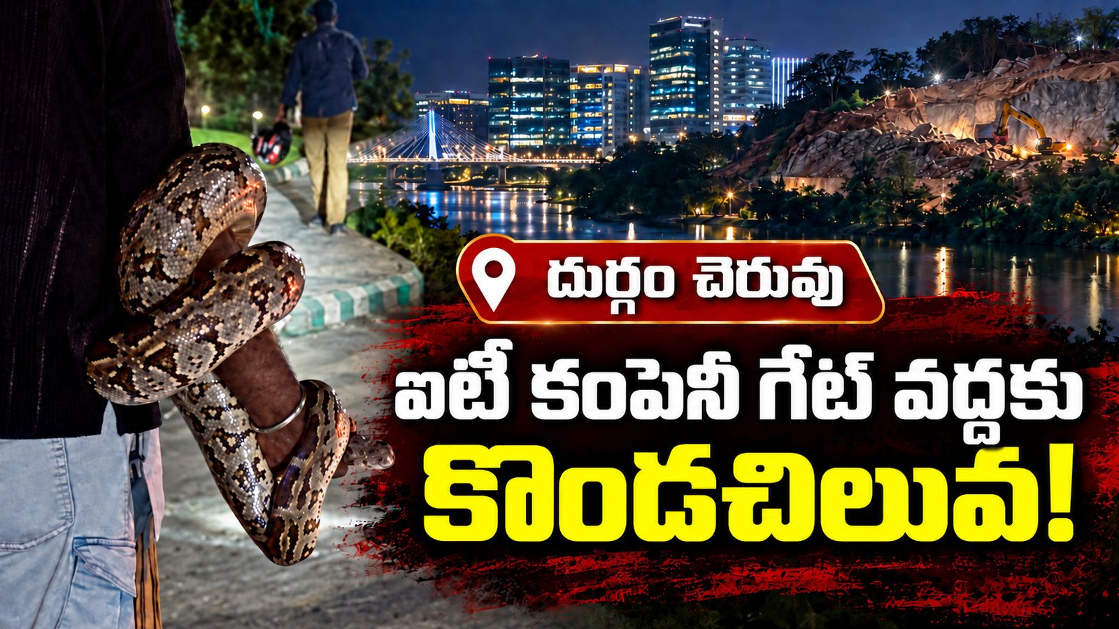 గుట్టలు చదును.. ఐటీ కంపెనీ గేటు వద్దకు కొండచిలువ!